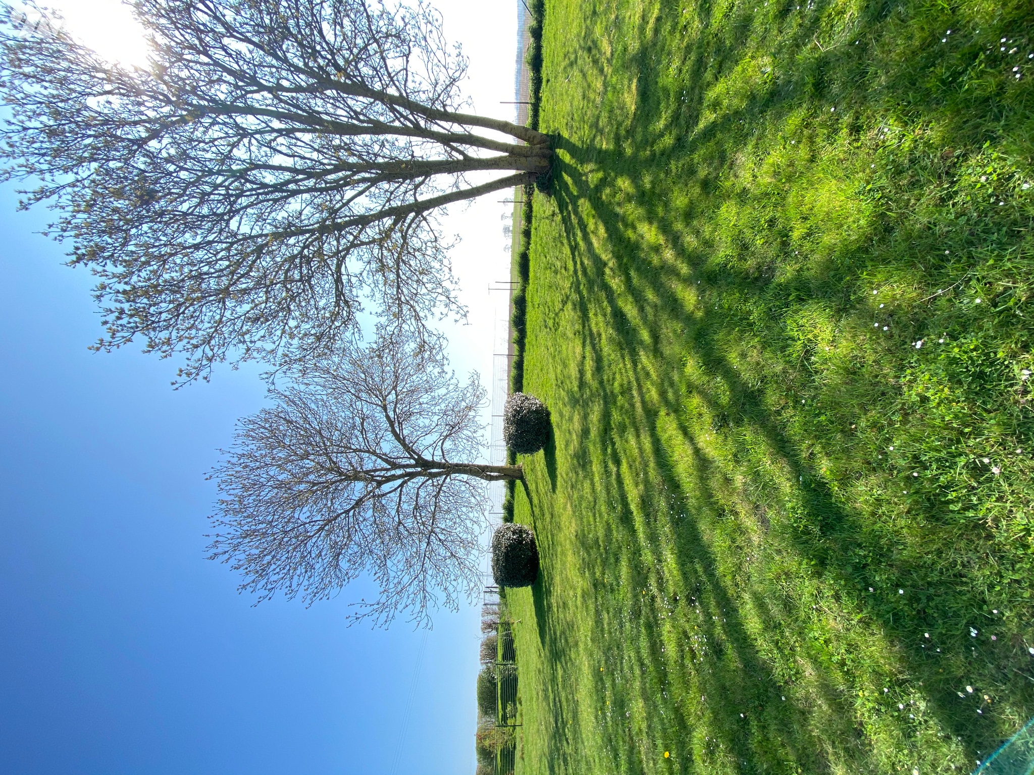 VENTE maison-BREXENT ENOCQ (62)