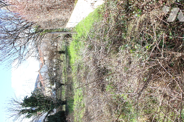 TER 590m²