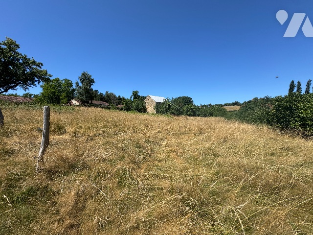 TER 3759m²
