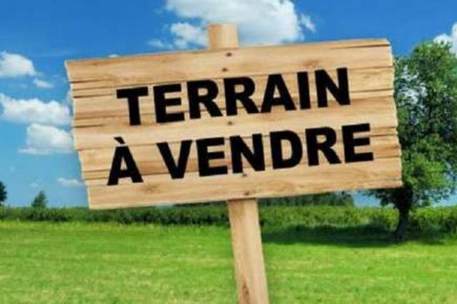 Vente - Terrain à bâtir - Lembeye - 11680.00m² - Ref : MLL