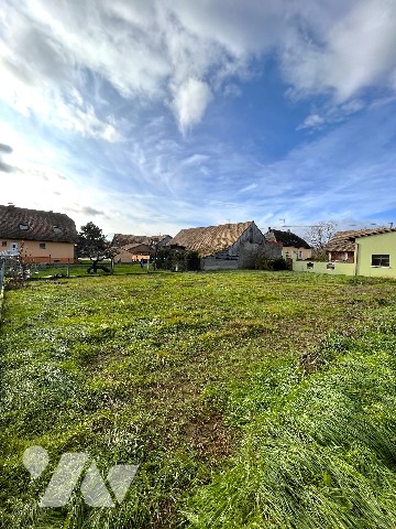 Vente - Terrain - MEYENHEIM - 581 m² - 175