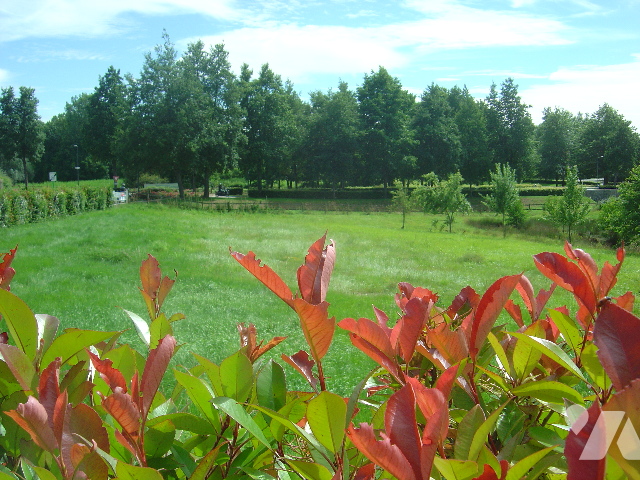 Terrain — Arçonnay