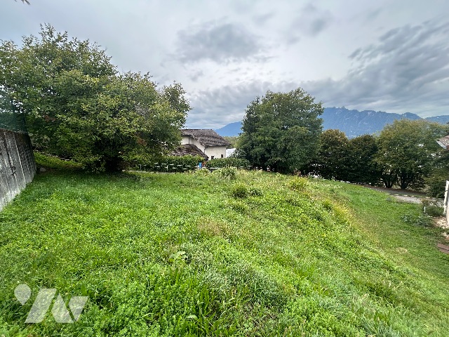 TER 655m²