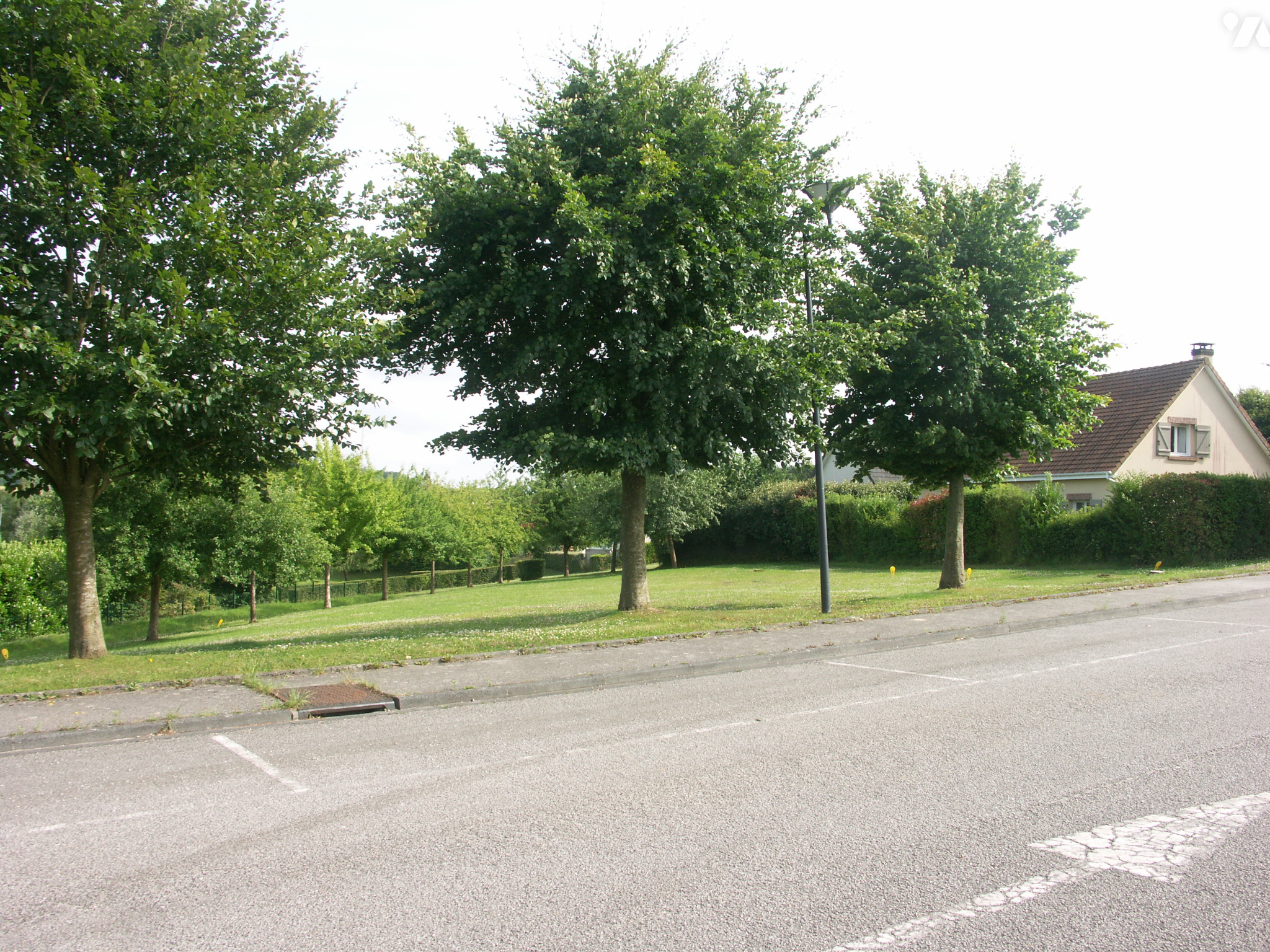 Terrain — Val-de-Scie