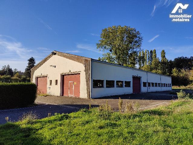Location - Local d'activités - NEUF MARCHE - 661 m² - NeEra01