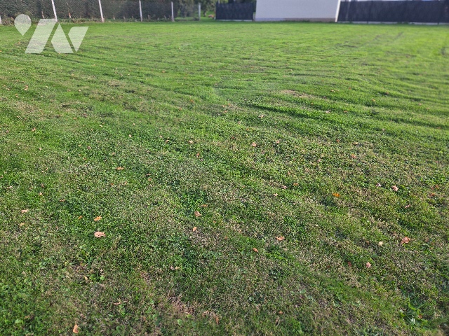 Vente - Terrain - REUVILLE - 1 030 m² - 206