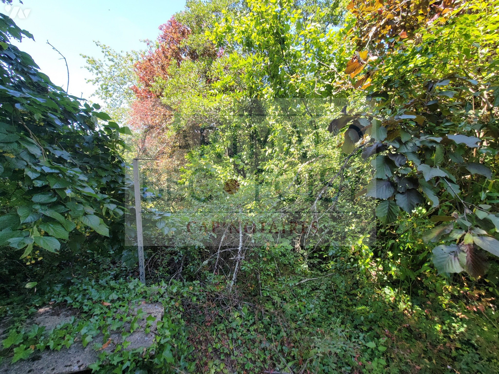 VENTE maison-PEZOU (41)