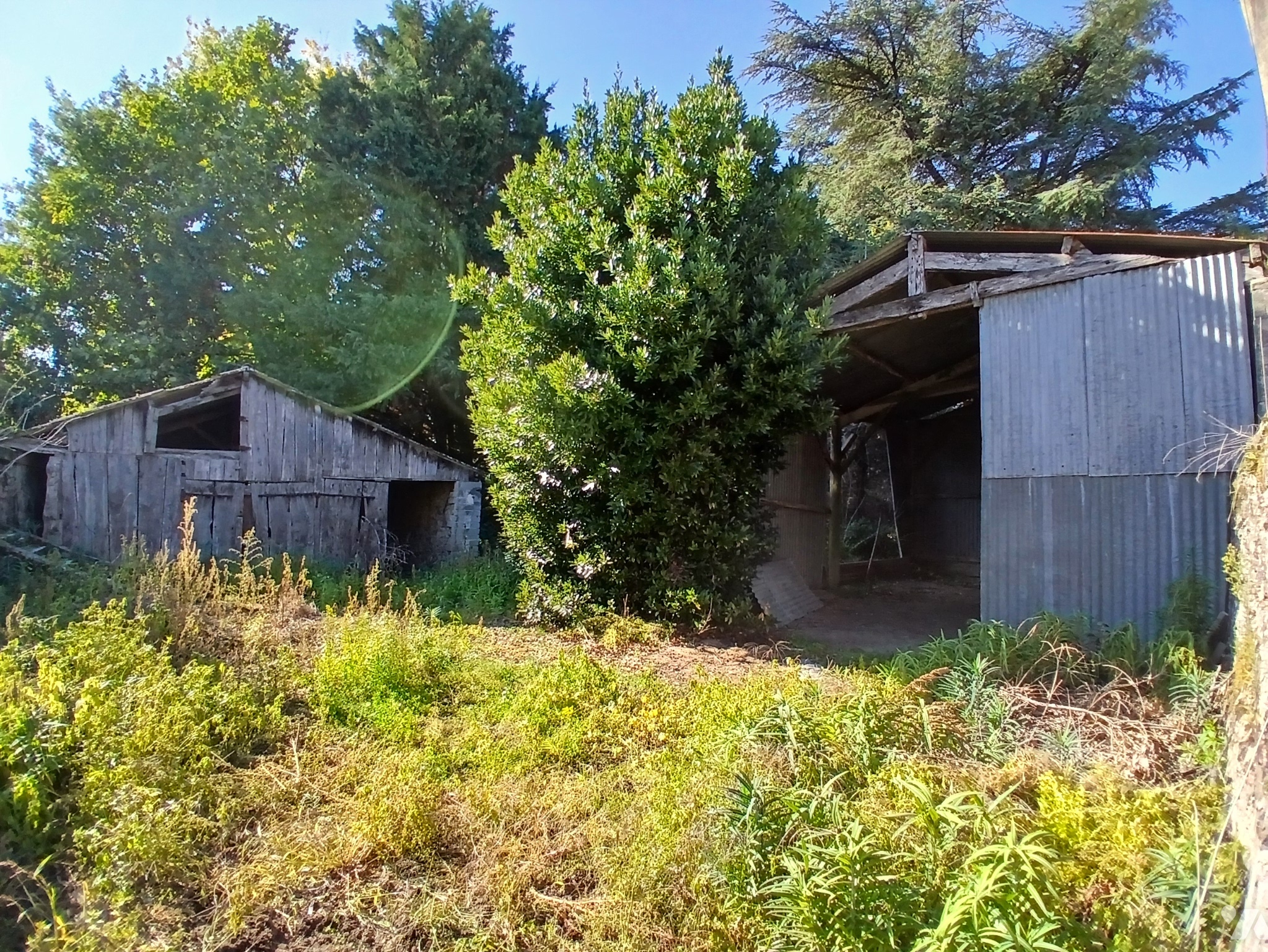 VENTE maison-LARGEASSE (79)
