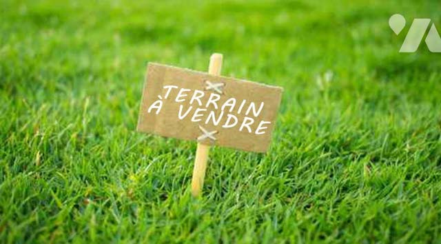 Terrain — Albert