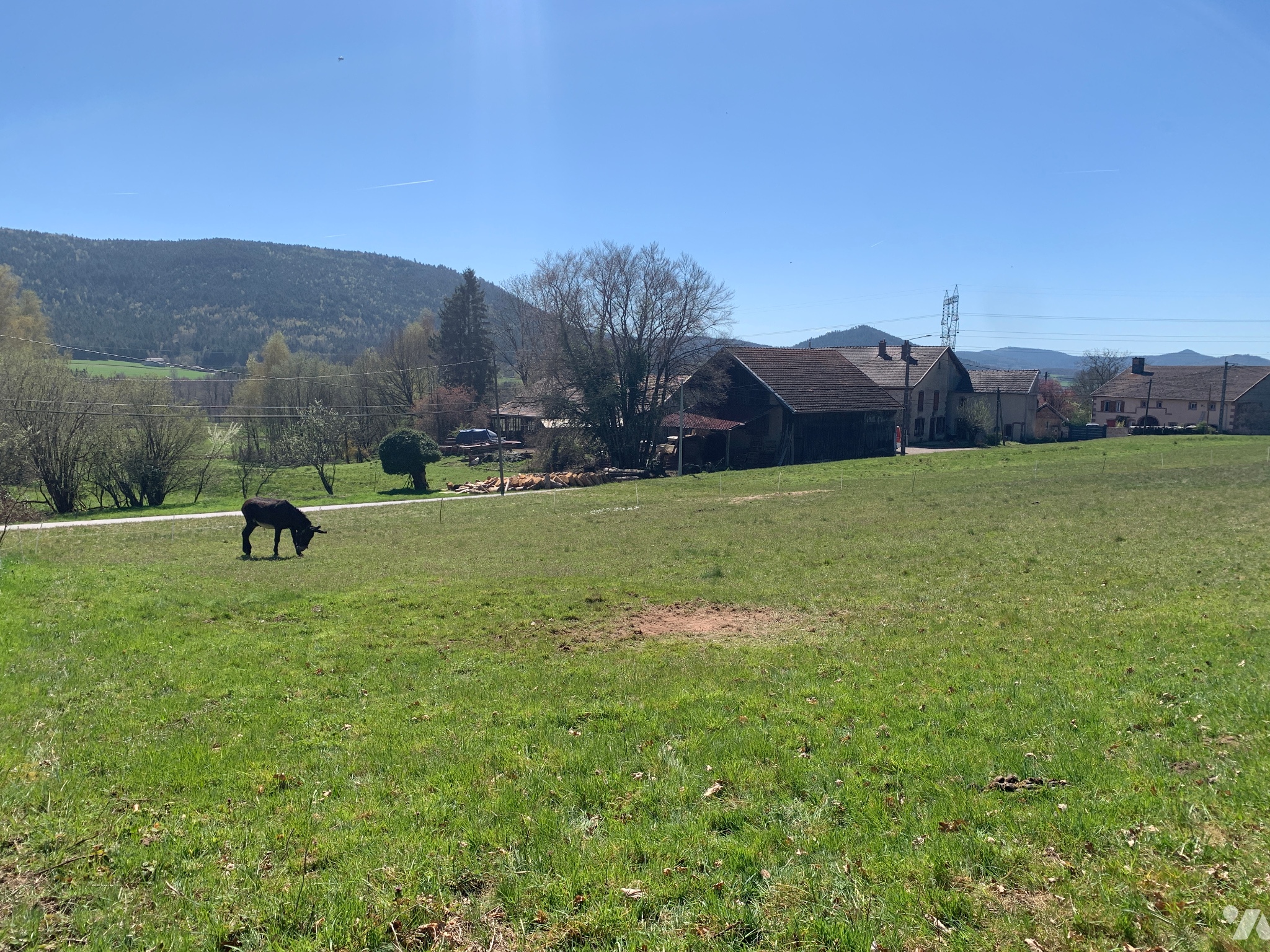 Terrain — Biffontaine
