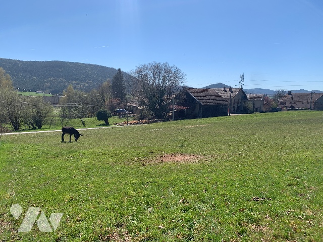 Terrain — Biffontaine