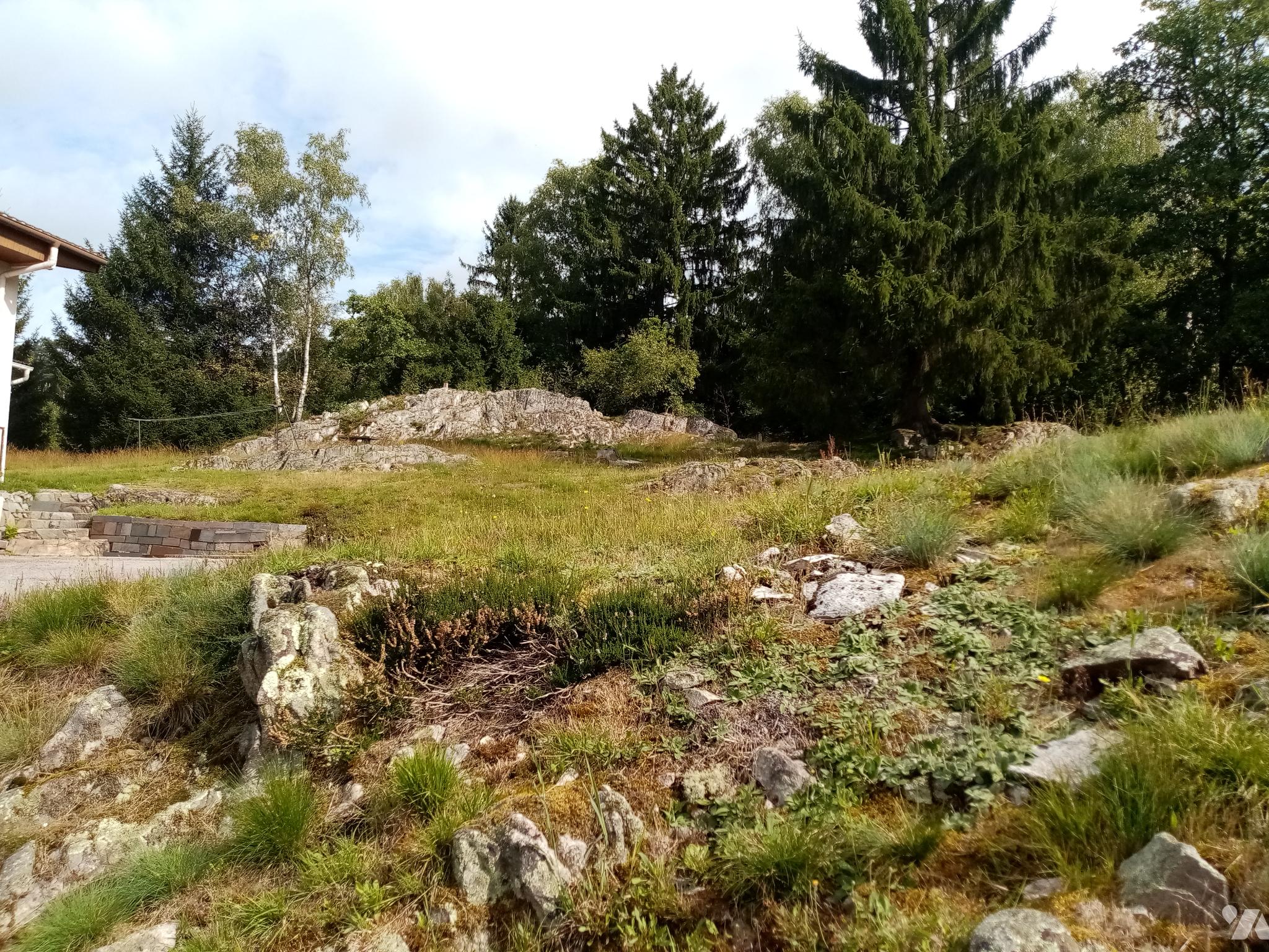 VENTE maison-LE SYNDICAT (88)