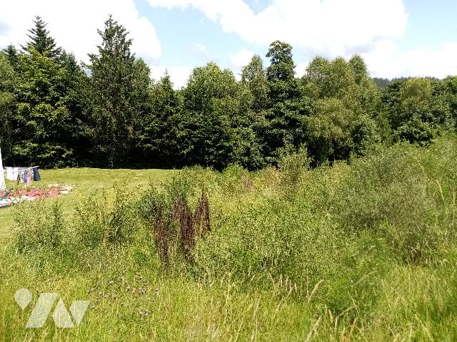 Terrain 1000 m² · à Tholy · 1 000 m² · 44 000 €