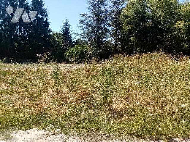 Terrain 729 m² · à Bocquegney · 729 m² · 29 500 €