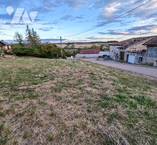 Terrain 1017 m² · à Bocquegney · 1 017 m² · 59 000 €