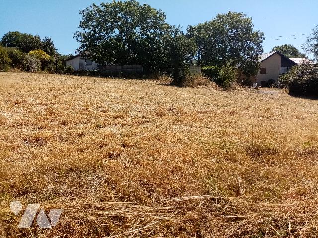 Terrain 1017 m² · à Bocquegney · 1 017 m² · 59 000 €