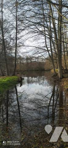   MOUTIERS EN PUISAYE