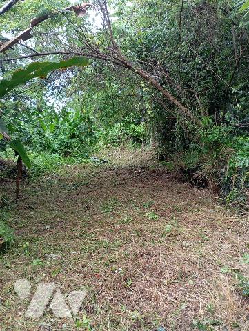 Terrain 15721 m² · à Petit-Bourg · 15 721 m² · 530 000 €