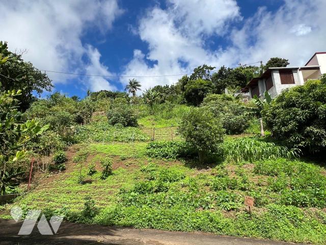 Terrain 450 m² · à Sainte-Marie · 450 m² · 100 000 €
