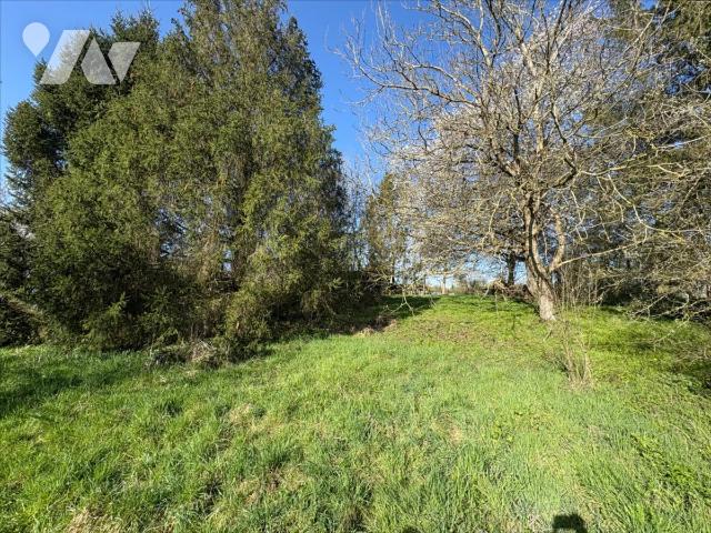 Vente - Bien agricole - MONDREPUIS - 1 068 m² - 02091-1078699