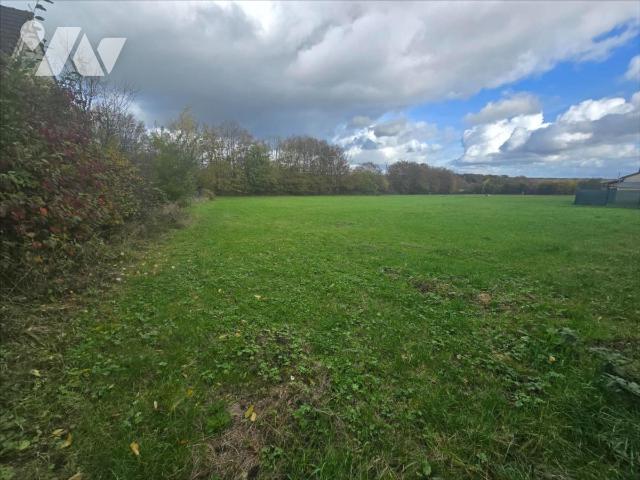 Vente - Terrain - MONDREPUIS - 3 520 m² - 02091-1089212