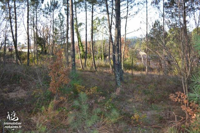 Vente - Terrain à bâtir - Vinezac - 2378.00m² - Ref : 587 T (2)