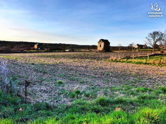 Vente - Terrain - Sauveterre-de-Rouergue - 1000.0m² - Ref : LJ758
