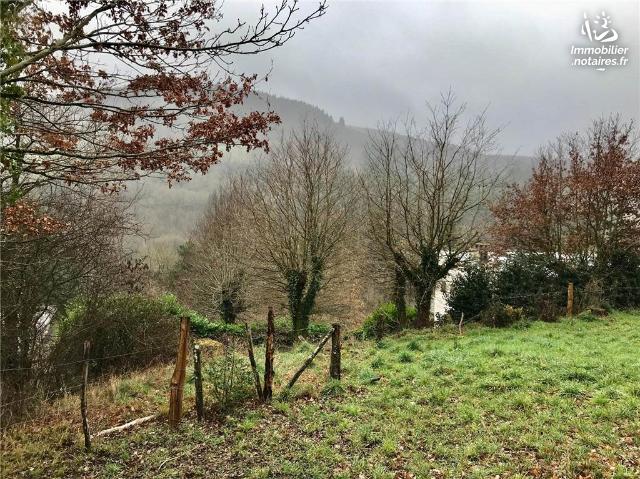 Vente - Terrain - Saint-Just-sur-Viaur - 4290.0m² - Ref : LJ957