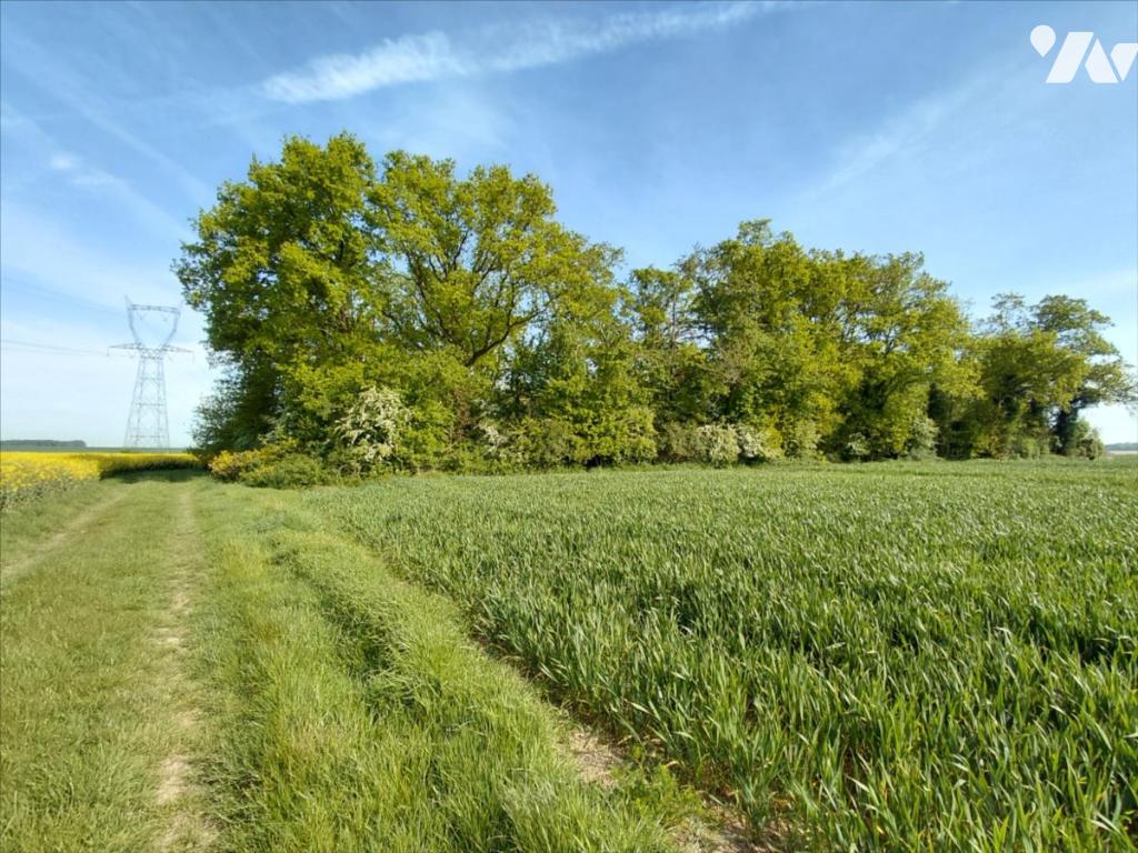 Agr Ormes · 10 000 €