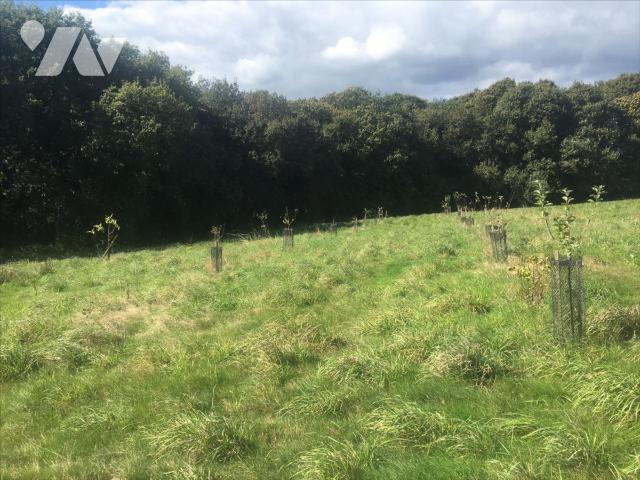 Propriété agricole — Peumerit