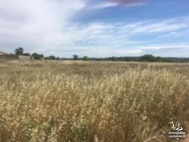 Vente - Terrain agricole - Nézignan-l'Évêque - 3800.00m² - Ref : NC 79