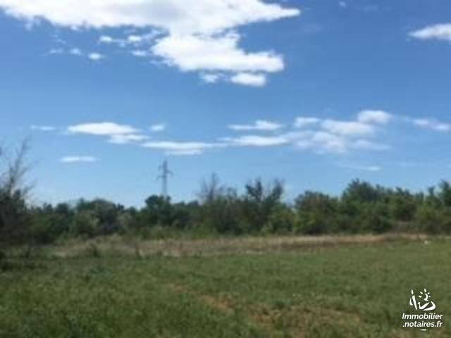 Vente - Terrain agricole - Nézignan-l'Évêque - 3600.00m² - Ref : NC 82
