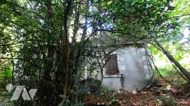 Vente - Maison / villa - VICQ SUR NAHON - 60 m² - 2 pièces - 021/1557