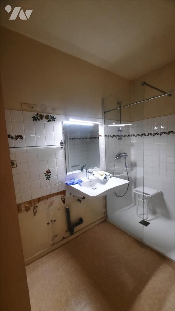 VENTE maison-VALENCAY (36)