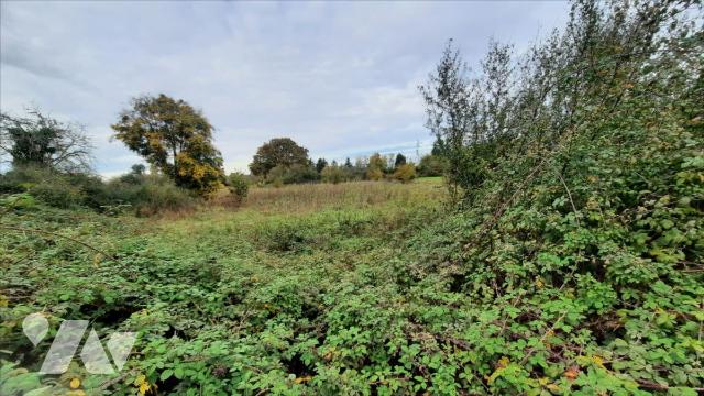 Vente - Terrain - LUCAY LE MALE - 2 177 m² - 021/1561