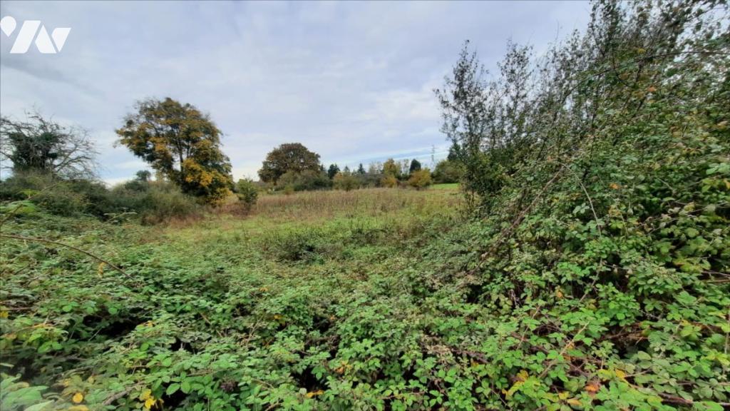 VENTE terrain-LUCAY LE MALE (36)