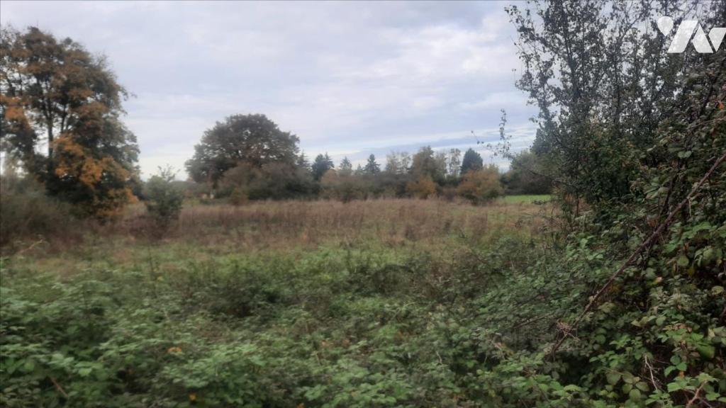 VENTE terrain-LUCAY LE MALE (36)