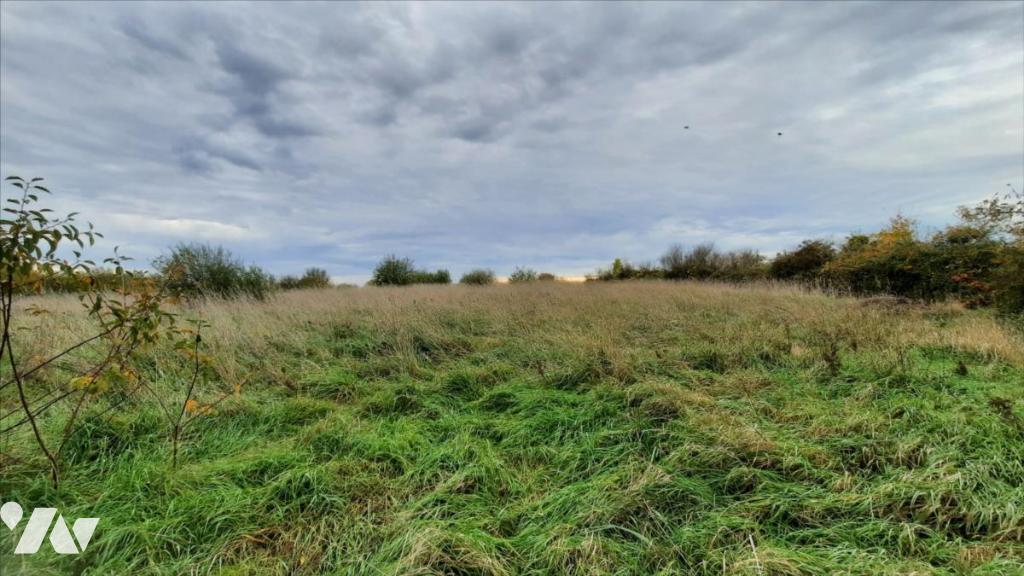 VENTE maison-LUCAY LE MALE (36)