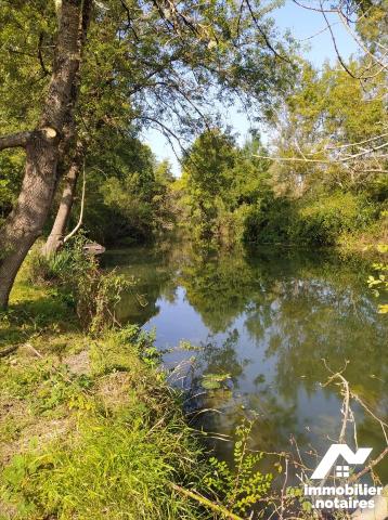 Vente Bien agricole RIVARENNES