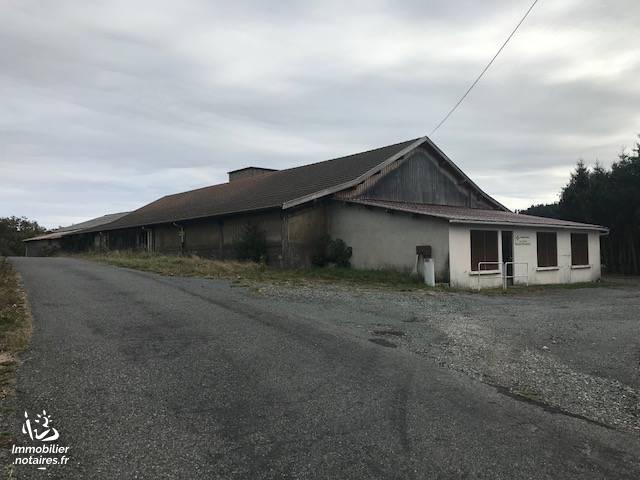 Vente - Immeuble - Saint-Just-en-Chevalet - 1200.00m² - Ref : 42083-346160