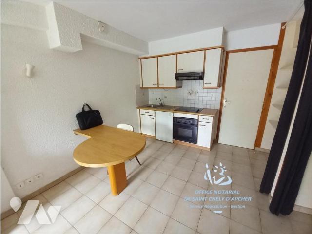 Location Appartement ST CHELY D APCHER