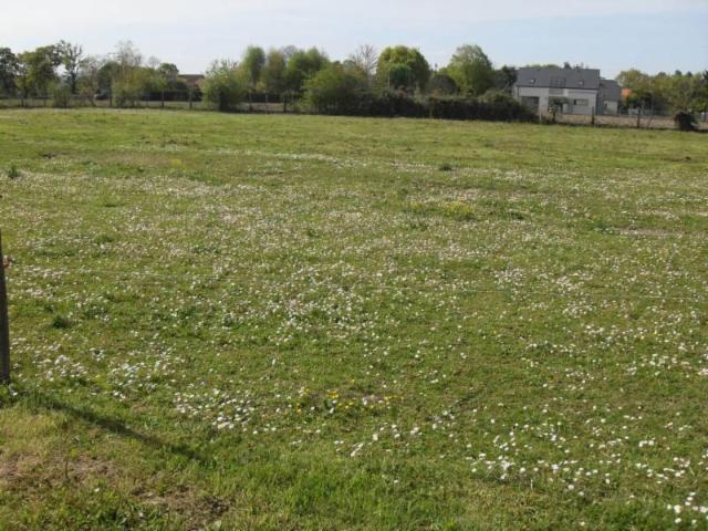 Vente - Terrain à bâtir - Tarbes - 5378.00m² - Ref : 65002-235532