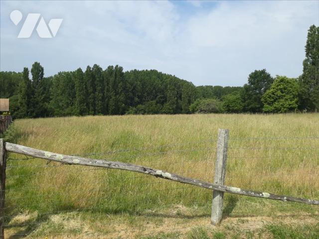 Terrain 566 m² · à Marigné-Laillé · 566 m² · 20 000 €