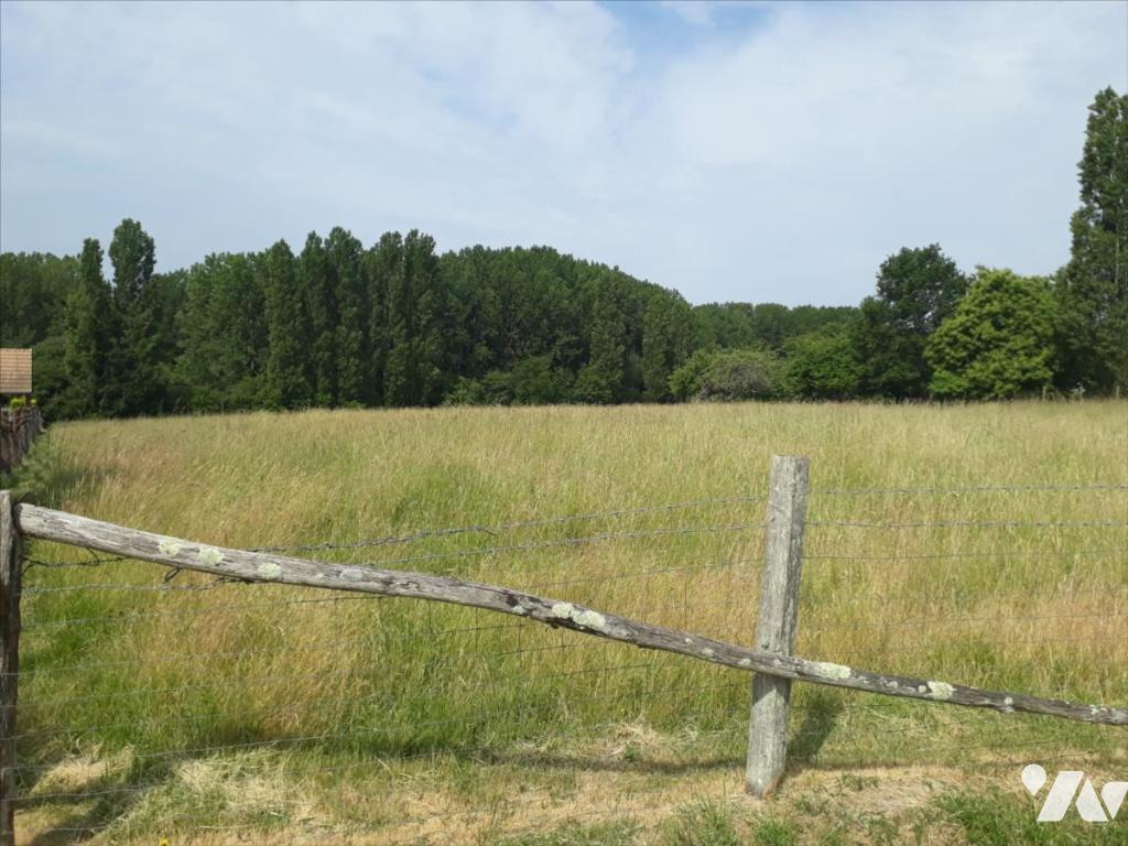 Terrain — Marigné-Laillé