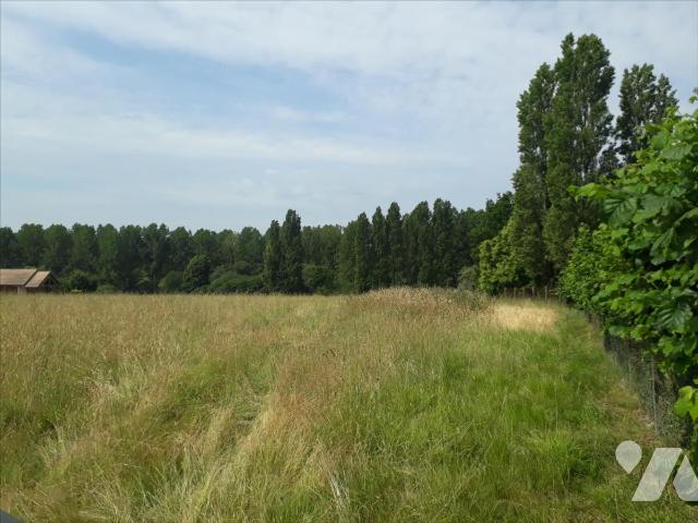 Terrain — Marigné-Laillé