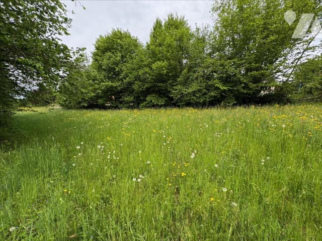 TER 732m²