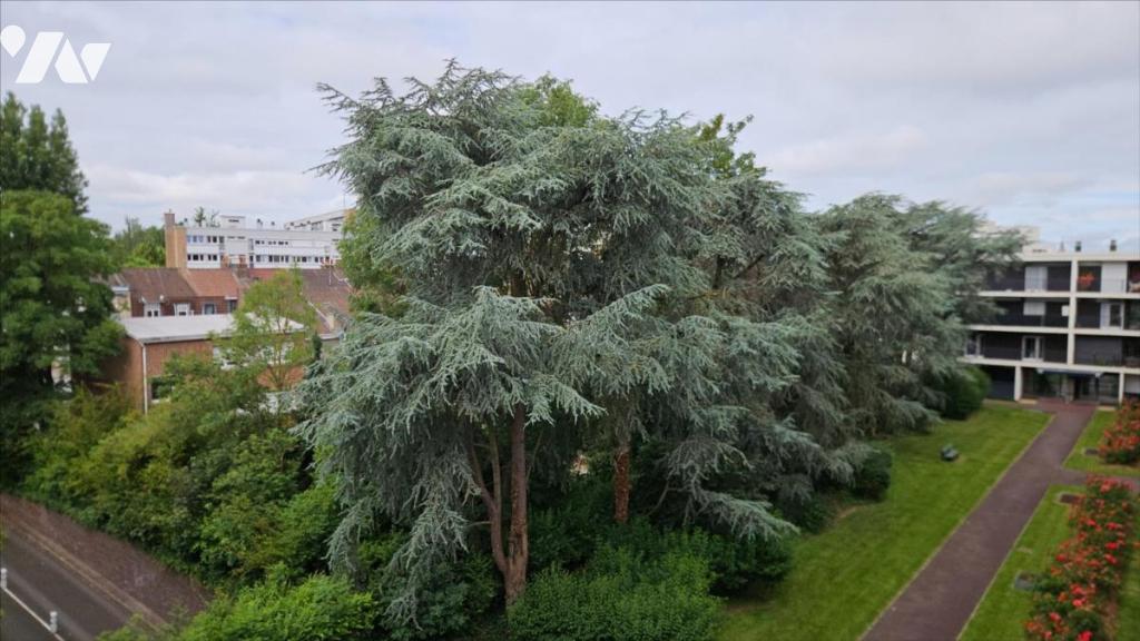 Appartement 6 pièces 187 m² · à Lille · 187,3 m² · 400 000 €