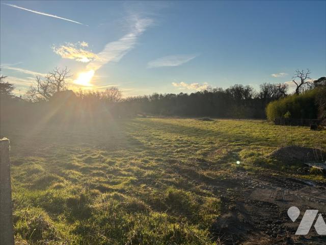 Terrain 2987 m² · à La Chapelle-Moulière · 2 987 m² · 46 000 €