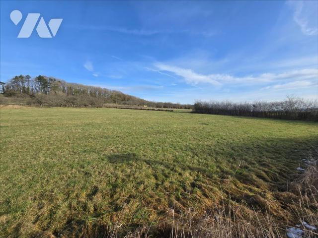 Terrain 3045 m² · à Beaufremont · 3 045 m² · 30 000 €