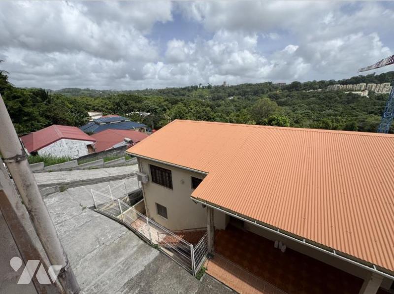 VENTE maison-FORT DE FRANCE (972)